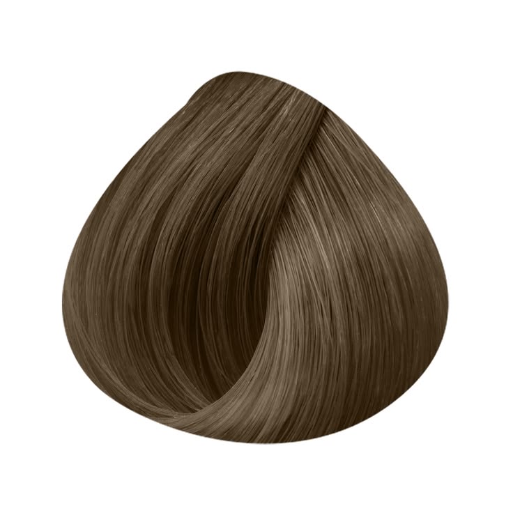 POLAR CHOCOLATE 7.18
